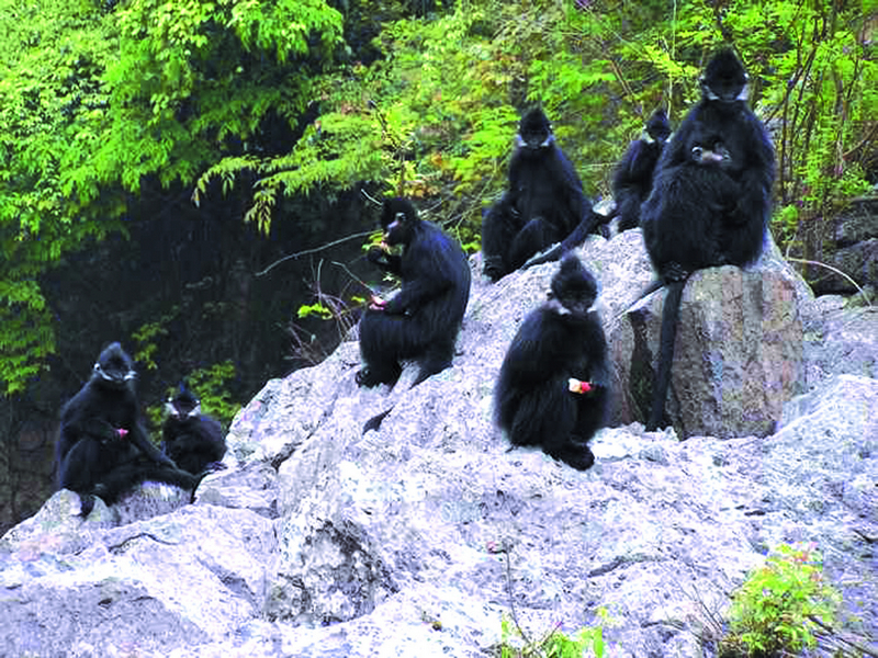 銅仁最美的10大景區(qū)：除了梵凈山之外，還有哪里值得一去？